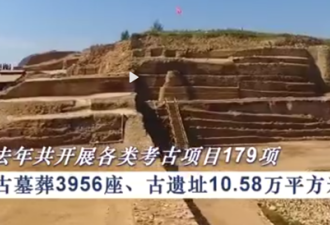 2020年陕西共发掘古墓3956座 网友：不愧是你