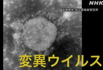 日本暴发首起变异病毒集体感染 患者出自同公司