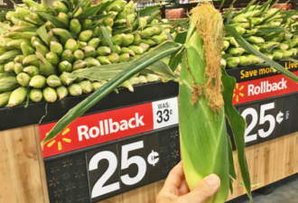吃不起! 多伦多华人超市玉米暴涨至$8.99