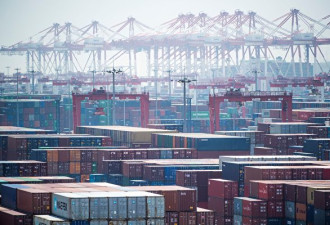 中国各港口滞留大量进口食品 等待病毒检测