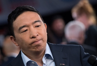过年吃月饼？杨安泽的拜年贺词惹群嘲