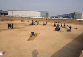 明明是建机场却突然变考古，网友：西安日常