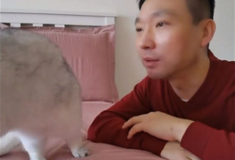康辉素颜带宠物猫录视频，至今仍在北京租房