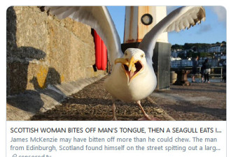 男子惊恐地看着自己舌头遭海鸥吞食