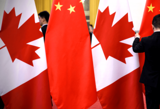 加拿大发起58国施压 陆使馆斥责死路一条