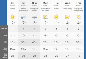 最高气温达7度：本周末多伦多温暖如春