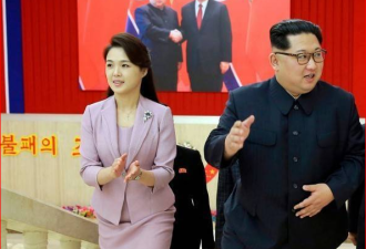 身价数百亿 朝鲜第一夫人奢华生活揭密