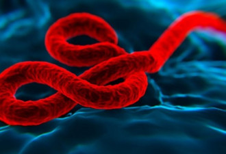 几内亚和刚果证实再次爆发埃博拉病毒