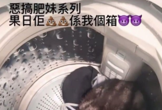 香港女子将猫咪扔进洗衣机...