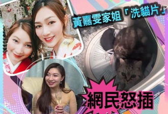 香港女子将猫咪扔进洗衣机...