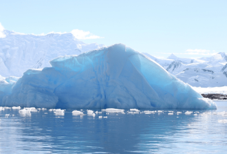 南极冰层下发现不明生物 来自来源、食源成谜