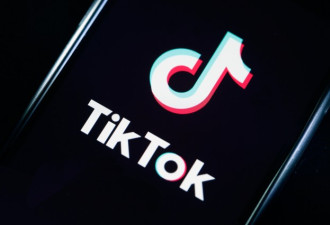TikTok在美广告业务速回升 在欧洲遭投诉