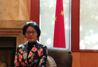 中国总领事答记者驳斥新疆种族灭绝论