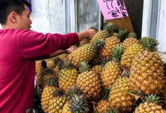 菠萝之后 北京下一个“精准水果炸弹”在哪？