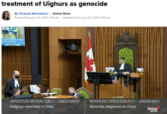 加拿大宣布中国在新疆种族灭绝，网友吵翻天