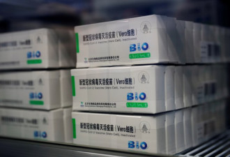 中国查获假新冠疫苗近六万支 部分流向境外