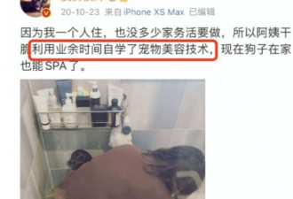 看看北京上海的豪门高端保姆圈 这才叫降维打击