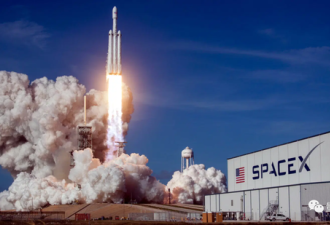 SpaceX员工参与实验 马斯克挂名论文解新冠谜题