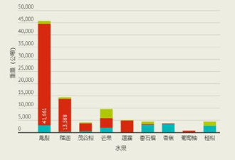 大陆禁台湾菠萝 台网友建议对大陆禁芯片