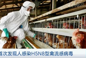 俄7人感染H5N8型禽流感病毒 影响多大？