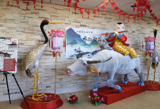2021江苏文化嘉年华暨多伦多秦淮灯会成功举行