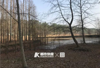 杭州现大片3亿多年“韭菜” 珍稀程堪比大熊猫