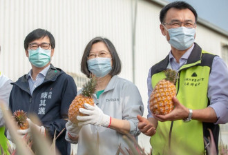 北京禁台湾水果是不是“穷台论”起手式