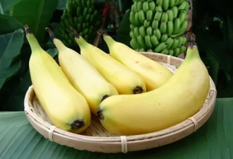 日本推出新品种香蕉，不用剥皮就能下肚