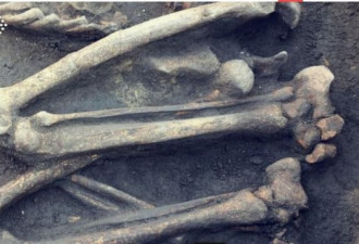 人类起源之谜 科技解密南非“小脚”化石