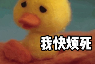 100来块能买什么美丽衣服？问虞书欣啊！