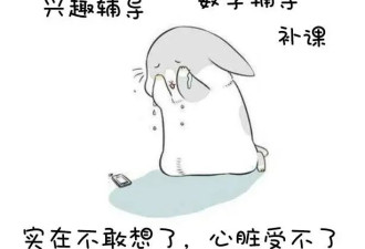 国际学校到底有多烧钱？家长吐槽