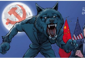 中国战狼满世界咆啸 真想变国际孤狼？