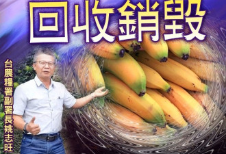 日验出台湾香蕉农药超标后下架 台称个别情况