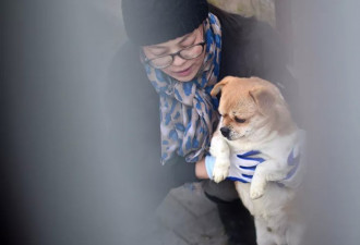 中国流浪狗被澳运动员带回家 如今已成狗界顶流