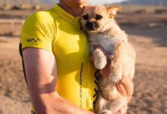 中国流浪狗被澳运动员带回家 如今已成狗界顶流