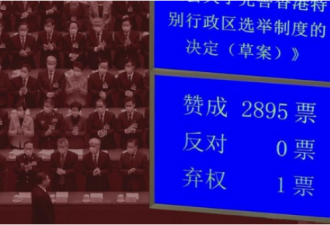 人大通过修改香港选制 0票反对 1票弃权是谁？