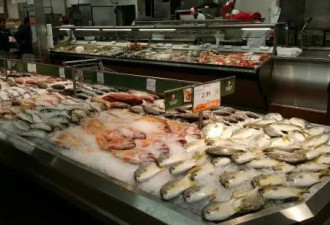 士嘉堡亚超里热卖的活鱼被召回！含致癌物质！