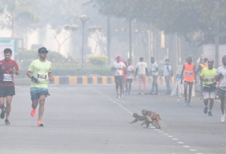 印度雾霾天举行马拉松：选手不戴口罩