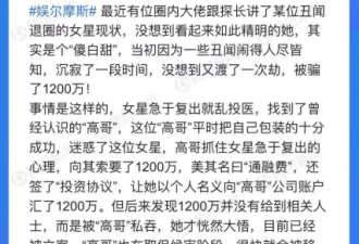 惊！疑李小璐为复出被骗千万 神秘"高哥"竟是