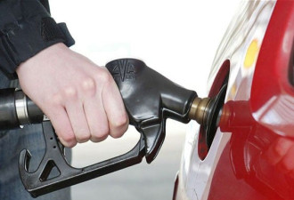 卑诗公园营地开始预订油价每升151.9分