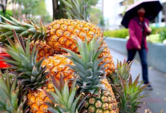 台湾把菠萝卖澳洲？澳果商：为啥要冒险进口