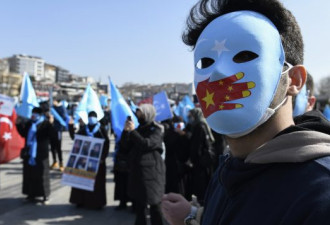 主流因维吾尔问题支持政府对中国强硬