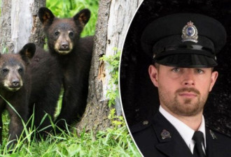 自然环境巡警未按命令射杀熊崽遭解雇