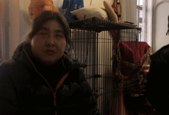 上海盲人阿姨被小区嫌弃 邻居威胁毒死导盲犬