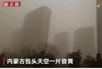 一场沙尘暴，揭开了中国治沙的真面目