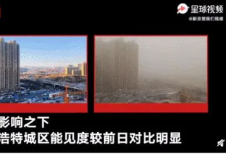 一场沙尘暴，揭开了中国治沙的真面目