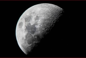 现代版诺亚方舟 美科学家拟送670万物种上月球