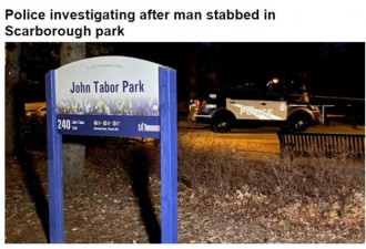 士嘉堡公园凌晨发生刺伤案