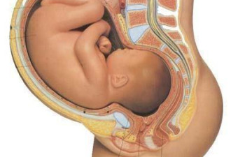 怀胎8月孕妇惨死：胎儿从她肚子硬扯出来！