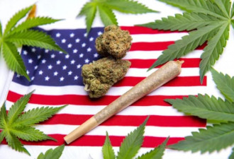 美媒爆料：白宫要求有吸大麻史员工辞职或降职